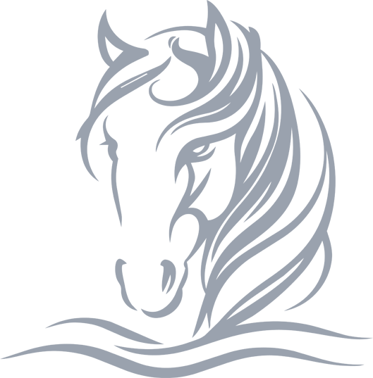 bella-horse