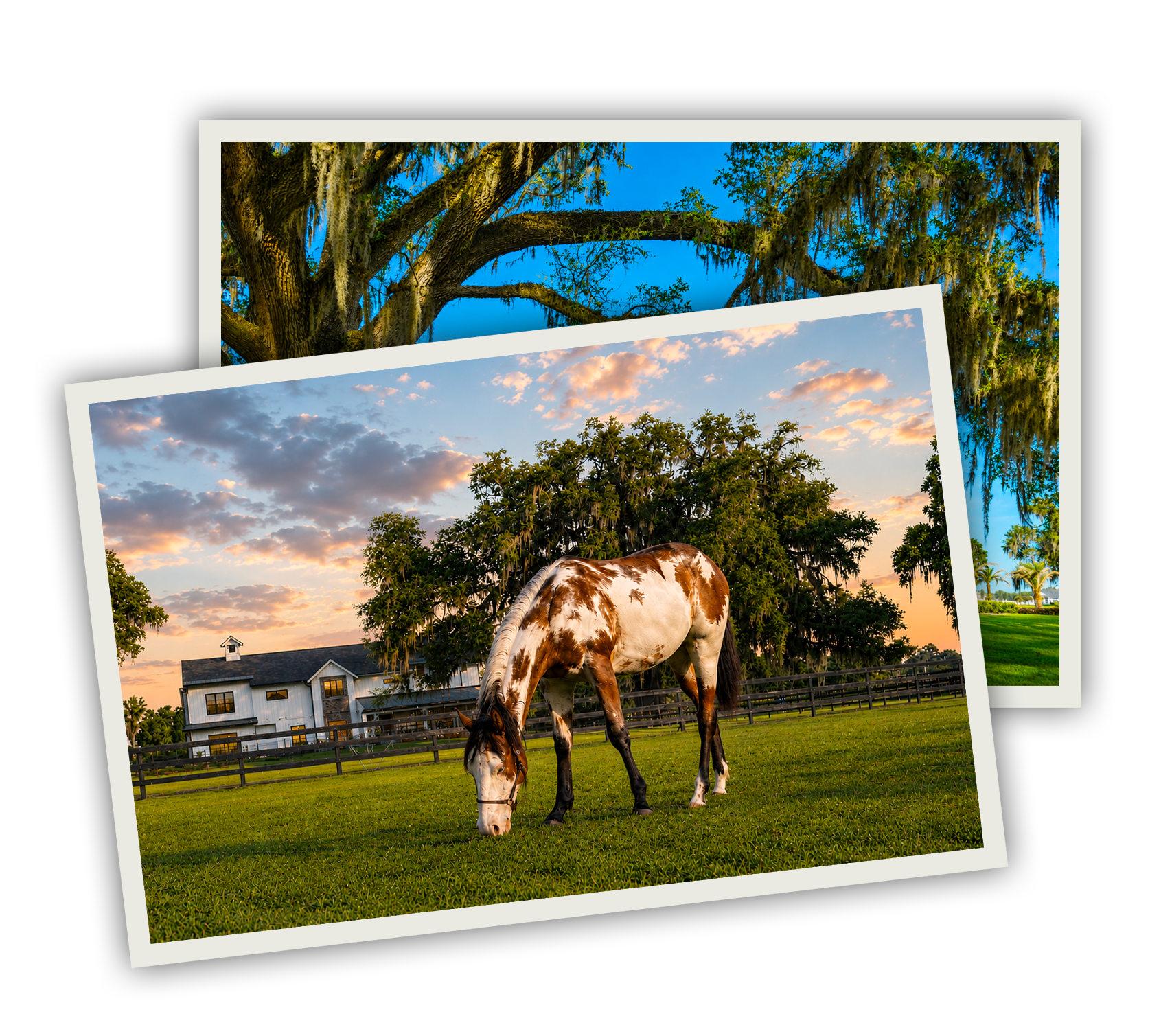 discover-bel-lago-estates-ocala-fl