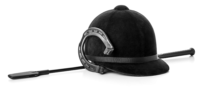 icon-bel-lago-equestrian